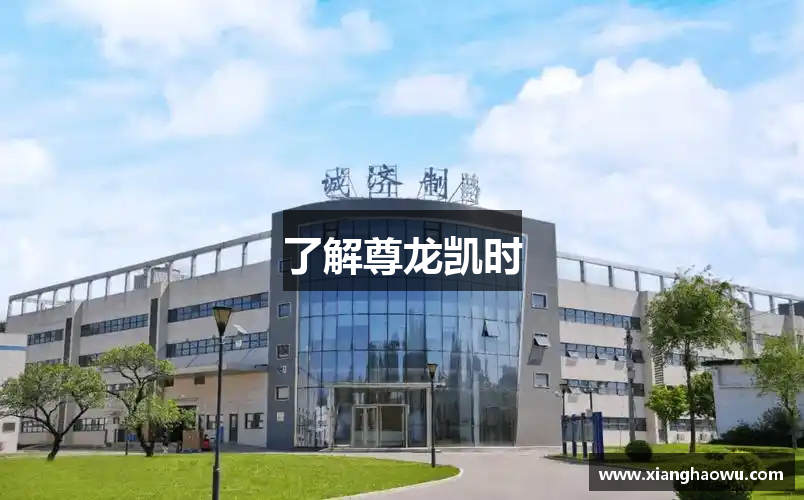 了解尊龙凯时